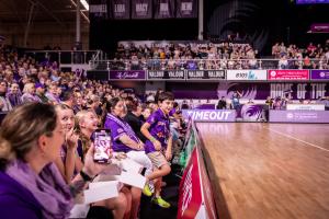 courtside