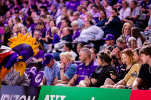 courtside